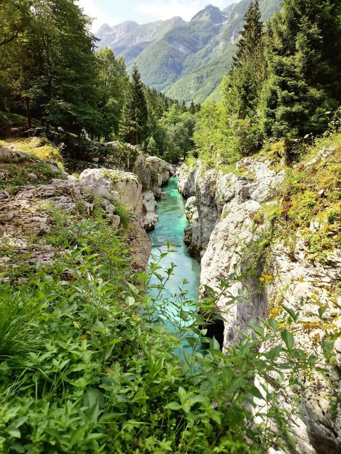 Beti Blu, Kaninska Vas Apartment Bovec